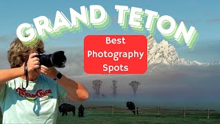 Unveiling Grand Teton's Best Wildlife Hotspots
