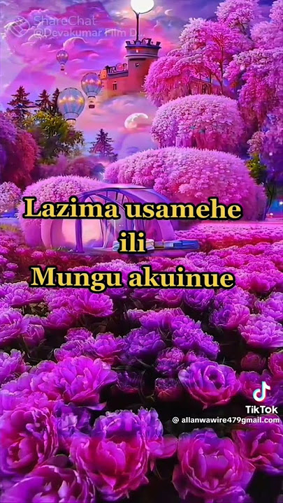 lazima usamehe @bahatibukuku6327