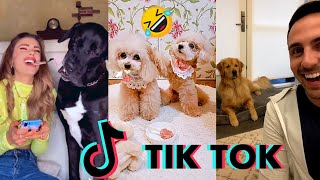 HILARIOUS Tiktok Dog Pranks Playlist 🤣