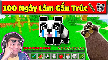 JAYGRAY THỬ THÁCH 100 NGÀY LÀM GẤU TRÚC SINH TỒN TRONG MINECRAFT*SỞ HỮU SỨC MẠNH GẤU PANDA SIÊU NẶNG