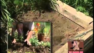 Garden And Yard Auger