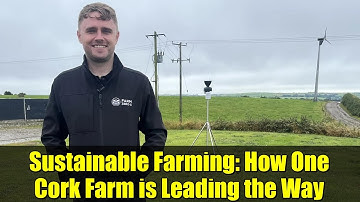 Sustainable Farming: How One Cork Farm is Leading the Way
