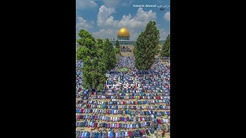 وَبَشِّرِ ٱلۡمُؤۡمِنِينَ || من سورة الصف: بشرى من الله لبيت المقدس 🤲🏽 || القارئ شريف مصطفى 🫶🏼🤍✨