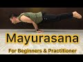 Mayurasana Tutorial | Step By Step Mayurasana For Beginners & All | Calisthenics Skills Beginners