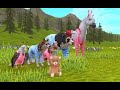 WildCraft playing new wild animal bear.