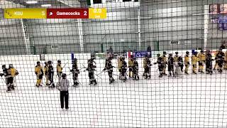 Kennesaw State Ice Hockey