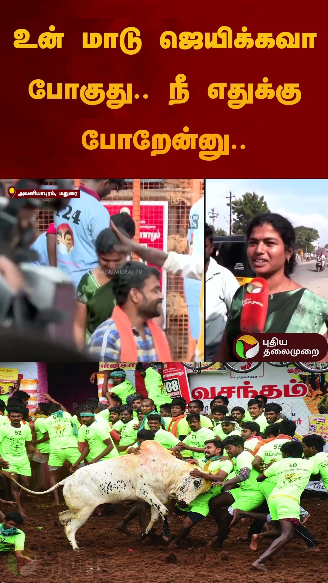 உன் மாடு ஜெயிக்கவா போகுது.. நீ எதுக்கு போறேன்னு.. |  #jallikattu2025 | #madurai | #shorts
