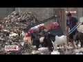 Sampah Menggunung di TPS Ujung Menteng | Kabar Utama