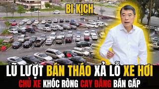 Tin Tức Thời Sự 24h: Vì Sao Nhiều Người Đồng Loạt Bán Ô Tô Dù Lỗ Hàng Trăm Triệu?