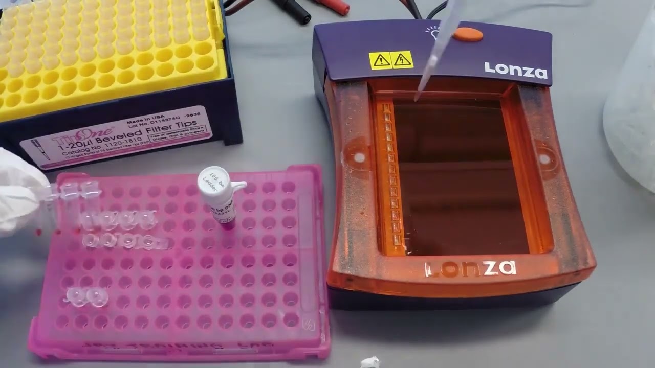 Genetics and Genomics For All: The Jackson Laboratory and LabXchange