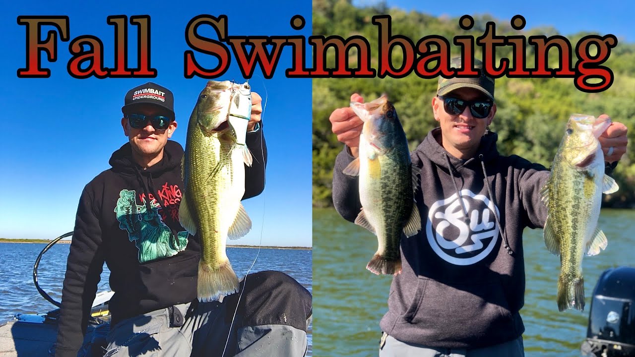 Fall Swimbait Bass Fishing