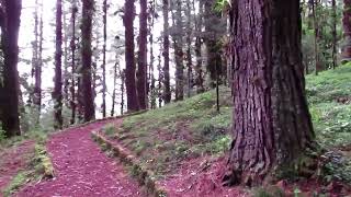 Parque Ecológico Porvenir Chiapas México MX