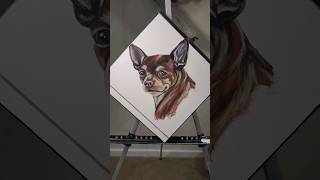 Chihuahua Portrait  Acrylic painting
