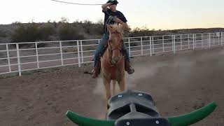 Ave's and Aur roping the Smarty Xtreme 12/18