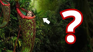 Что произойдет, если вас проглотит венерина мухоловка?