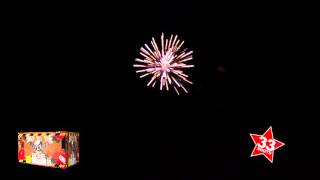 Terrific 500 gram cake with opening flying fish to huge peony
explosions rattle snake crackle shells at the end. 33 great shots here
in total wit...