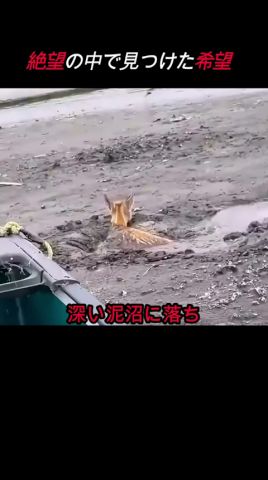 絶望の中で見つけた希望