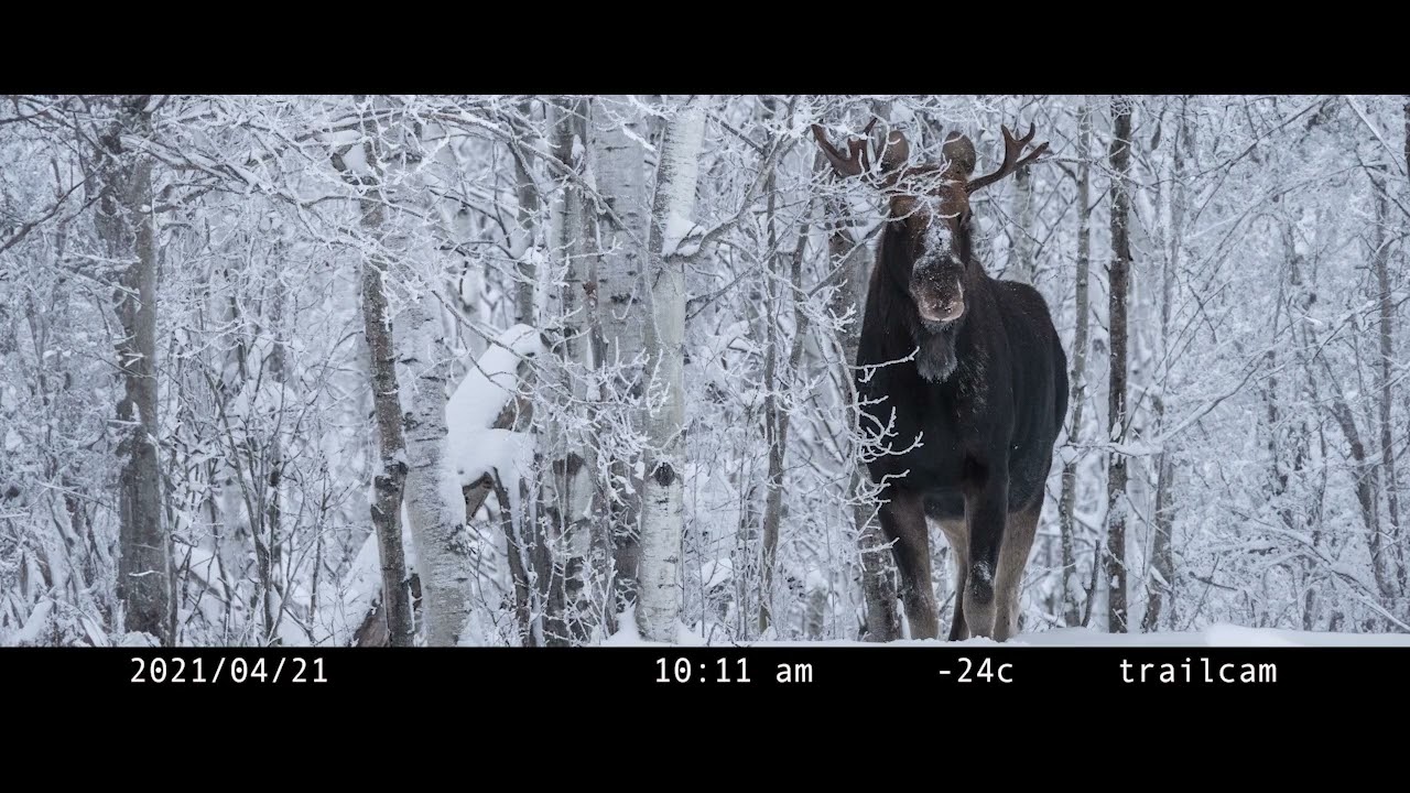 A Century of Petroleum Extraction 720p