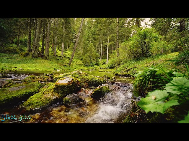 اسلام صبحي | Islam Sobhi سورة البقرة 4k قرآن 4k Quran 4k class=