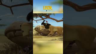 Leon Hide And Seek Hooplakidz Toons