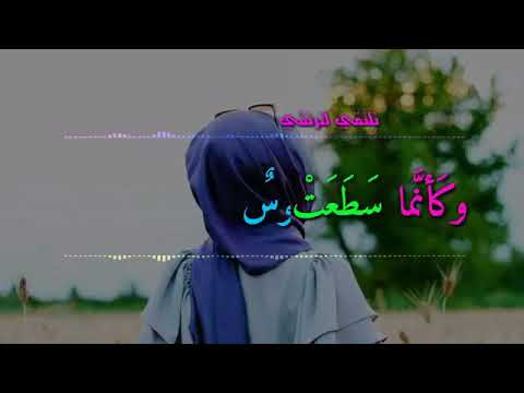 نور أضاء بصيرتي فأضاءني لما تذكرت الحبيب محمدا