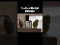 温度差がすごい笑