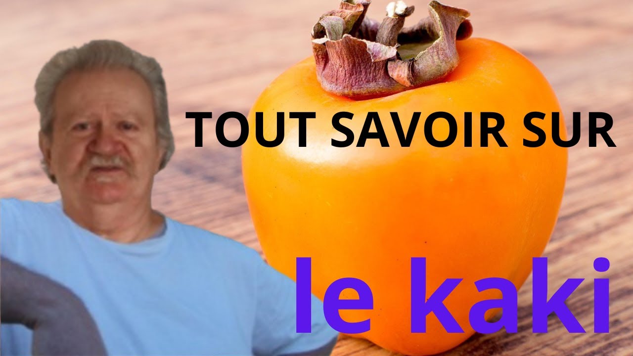 LE KAKI : Le fruit miracle de l’hiver ! Bienfaits, astuces, erreurs à éviter, tu vas tout comprendre