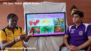 PVH Basic Healing Workshop In Gujarati English Module 2