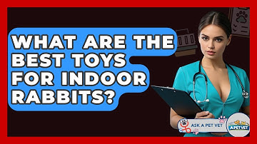 What Are The Best Toys For Indoor Rabbits? - Ask A Pet Vet