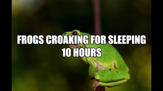 Frogs Croaking for sleeping 10 Hours
