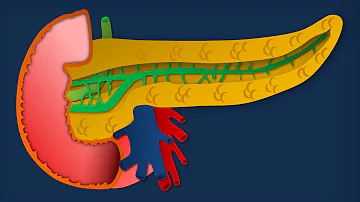 Quando il pancreas non funziona Quali sono i sintomi?