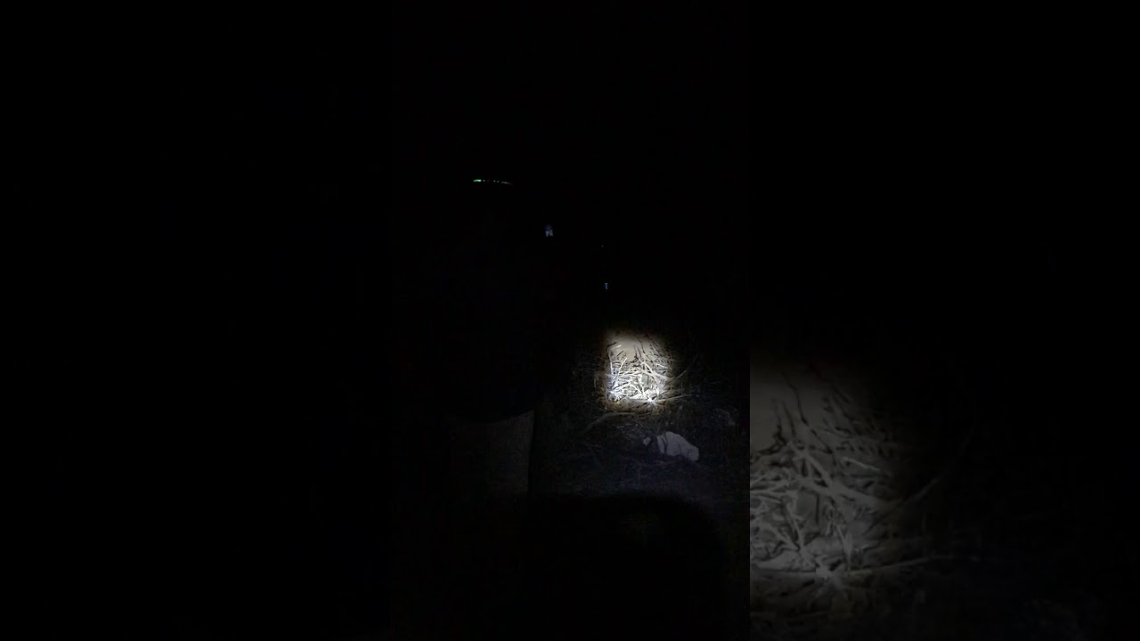 Night time target practice YouTube