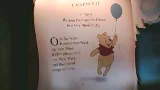 The Many Adventures Of Winnie The Pooh At The Magic Kingdom 2013