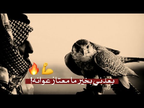 بعدني بخير ما معتاز عوانه داعيك صكر زوده على جنحانه شعر زماط ستوريات زماط