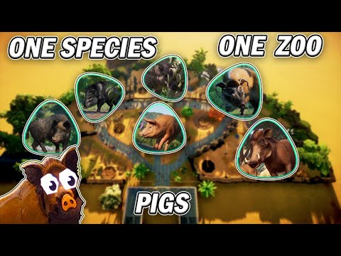 Pig Only Zoo - Can I Survive Planet Zoo Franchise Mode? | Build with Me | Planet Zoo