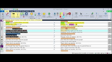 Trados Studio PlugIn - Highlights [Character]