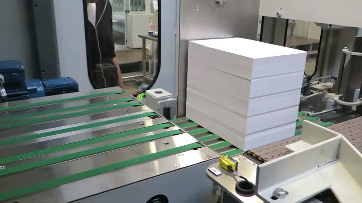 Case Packer Model 163 with Accu Bulk Packaging option