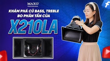 Khám Phá Nội Thất Bên Trong (Loa Bass, Treble, Bo Phân Tần) Loa Line Array X210LA New Version