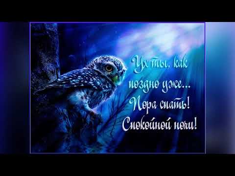 Самых добрых снов ! Красивое пожелание спокойной ночи!