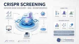 🧬 How CRISPR Screening Accelerates Your Genomic Research