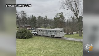 About 40 animals living in poor conditions rescued in Beaver County