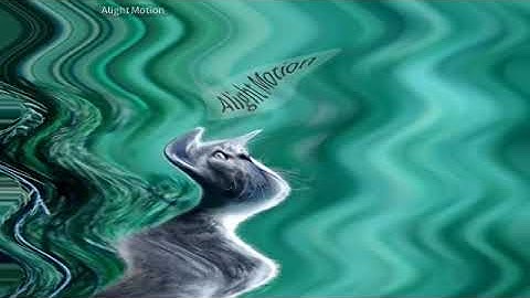 cat preview 2 effect in opposite something