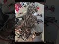 WE are in BUISNESS on our CH80!! #honda #scooter #milwaukee #restro #broken #awesome #project