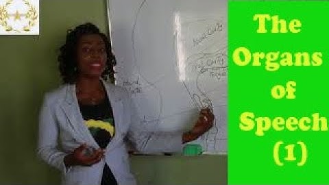 The Organs of Speech in Phonetics and their Functions, Lesson 2