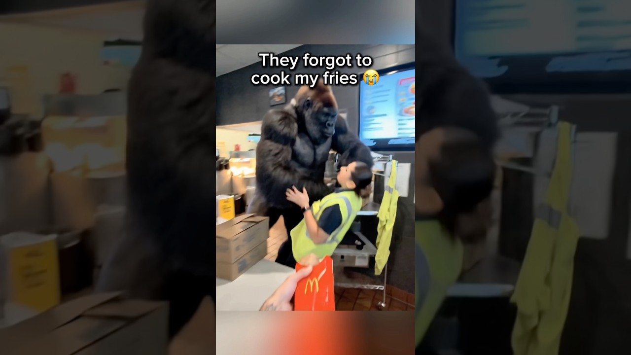 McDonald’s Forgot To Cook My Fries😭