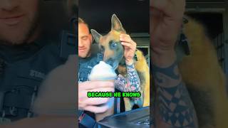 Dog's Epic Reaction to Pup Cup 😂 #shorts