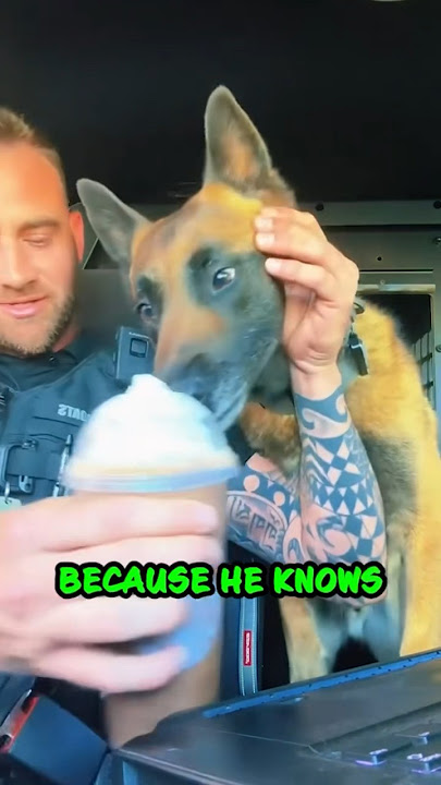 Dog's Epic Reaction to Pup Cup 😂 #shorts