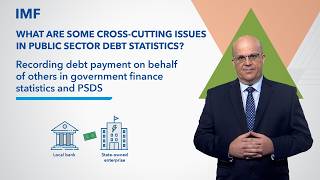 Recording debt payment on behalf of others in government finance statistics and PSDS screenshot 5