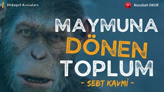 Maymuna Çevrilen Insanlar Peki Neden?