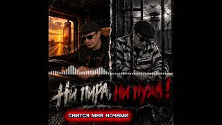 Ни пира, ни пуха! (Миша Каштан, Satyr)